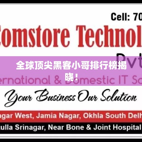 全球頂尖黑客小哥排行榜揭曉！