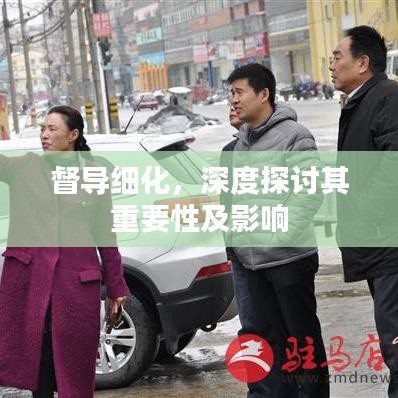 督導(dǎo)細(xì)化，深度探討其重要性及影響