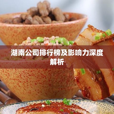 湖南公司排行榜及影響力深度解析