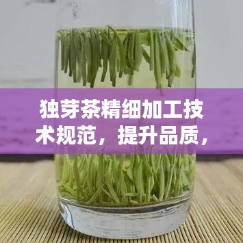 獨芽茶精細(xì)加工技術(shù)規(guī)范，提升品質(zhì)，百度收錄必備指南