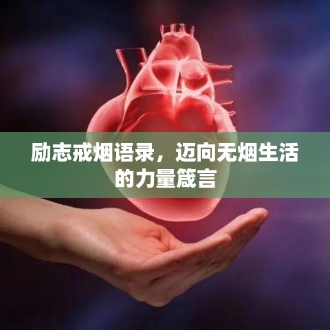 勵(lì)志戒煙語(yǔ)錄，邁向無(wú)煙生活的力量箴言