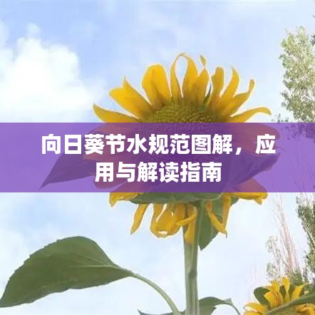 向日葵節(jié)水規(guī)范圖解，應(yīng)用與解讀指南