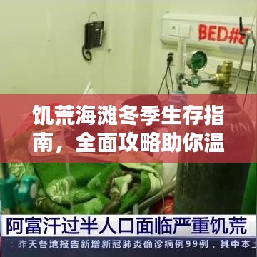 饑荒海灘冬季生存指南，全面攻略助你溫暖過冬
