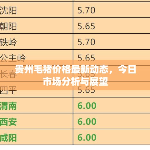 貴州毛豬價(jià)格最新動(dòng)態(tài)，今日市場(chǎng)分析與展望