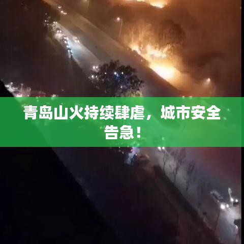 青島山火持續(xù)肆虐，城市安全告急！