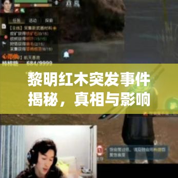 黎明紅木突發(fā)事件揭秘，真相與影響探究