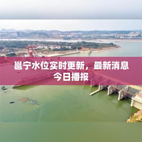邕寧水位實(shí)時(shí)更新，最新消息今日播報(bào)