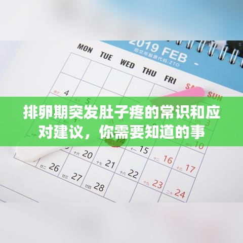 排卵期突發(fā)肚子疼的常識和應(yīng)對建議，你需要知道的事