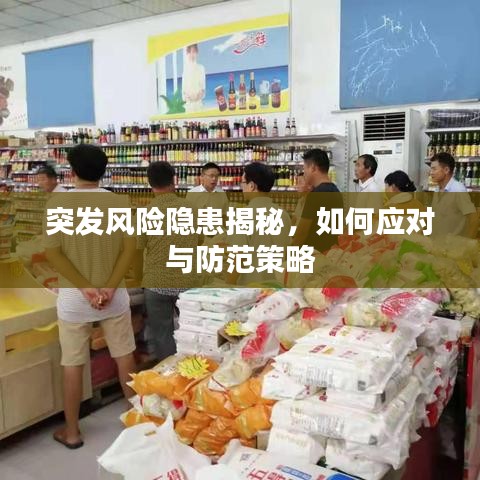 突發(fā)風(fēng)險(xiǎn)隱患揭秘，如何應(yīng)對(duì)與防范策略