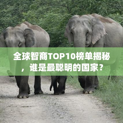 全球智商TOP10榜單揭秘，誰是最聰明的國家？