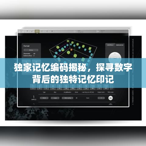 獨(dú)家記憶編碼揭秘，探尋數(shù)字背后的獨(dú)特記憶印記