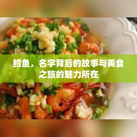 鱈魚，名字背后的故事與美食之旅的魅力所在