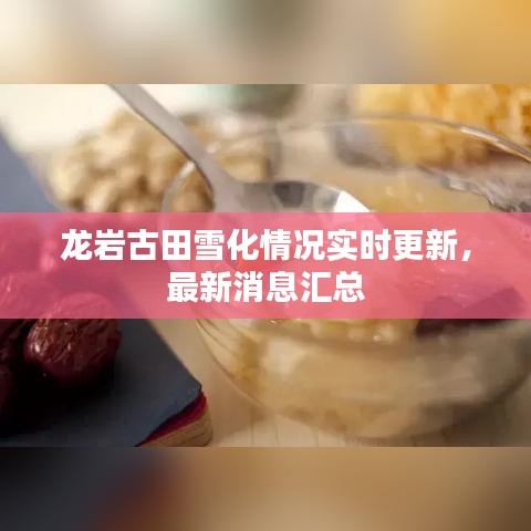 龍巖古田雪化情況實時更新，最新消息匯總