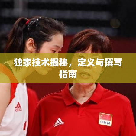 獨家技術(shù)揭秘，定義與撰寫指南