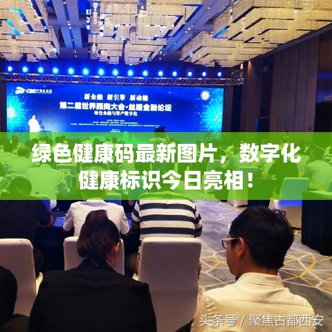 綠色健康碼最新圖片，數(shù)字化健康標識今日亮相！