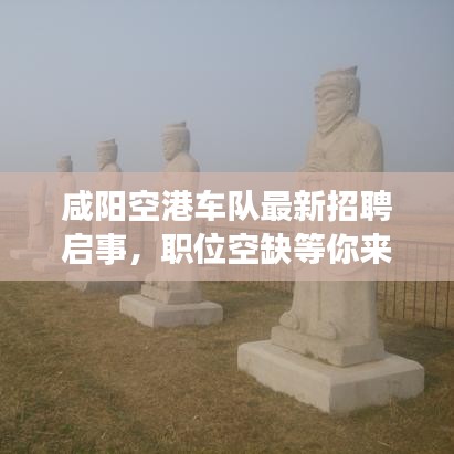 咸陽空港車隊(duì)最新招聘啟事，職位空缺等你來挑戰(zhàn)！