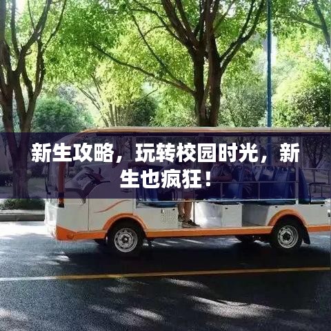 新生攻略，玩轉校園時光，新生也瘋狂！
