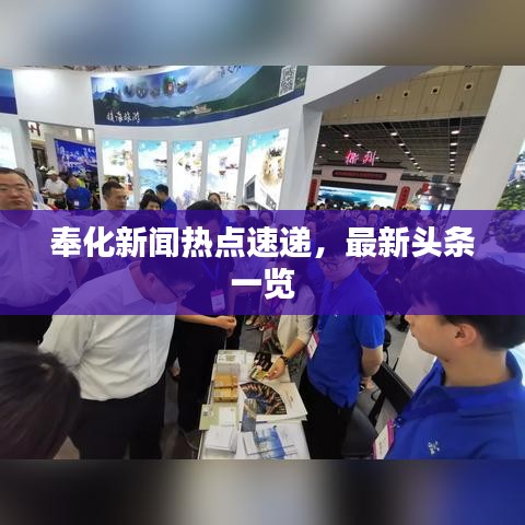 奉化新聞熱點(diǎn)速遞，最新頭條一覽