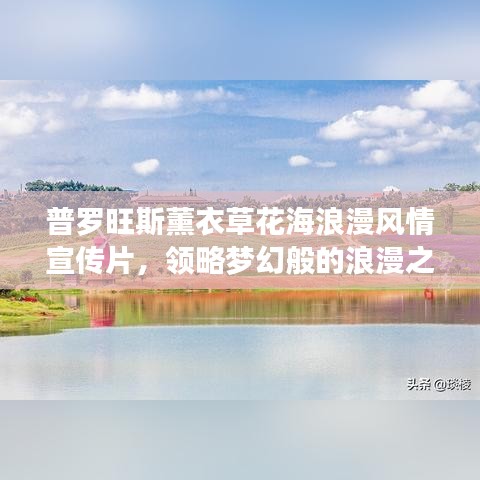 普羅旺斯薰衣草花海浪漫風(fēng)情宣傳片，領(lǐng)略夢(mèng)幻般的浪漫之旅！