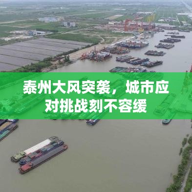 泰州大風(fēng)突襲，城市應(yīng)對(duì)挑戰(zhàn)刻不容緩