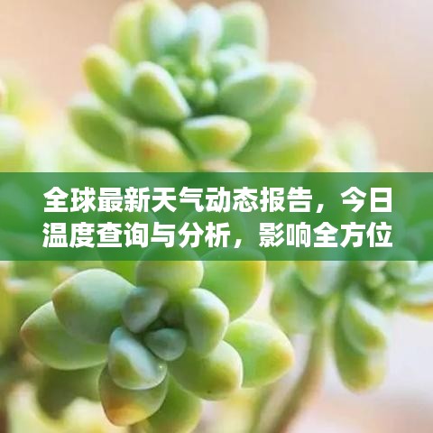 全球最新天氣動態(tài)報(bào)告，今日溫度查詢與分析，影響全方位解讀