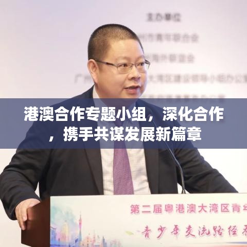 港澳合作專題小組，深化合作，攜手共謀發(fā)展新篇章