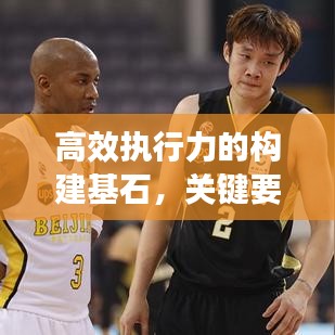 高效執(zhí)行力的構(gòu)建基石，關(guān)鍵要素與策略實施