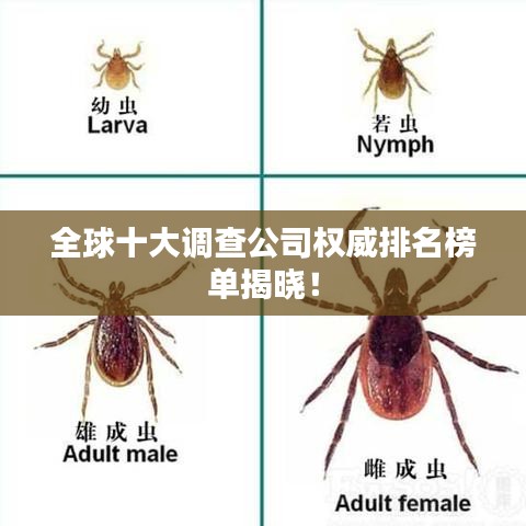 全球十大調(diào)查公司權(quán)威排名榜單揭曉！